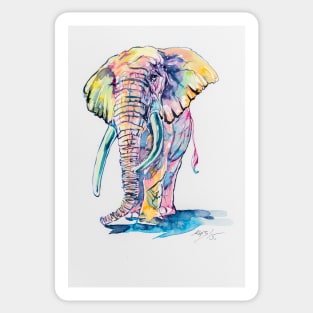 Colorful elephant Sticker